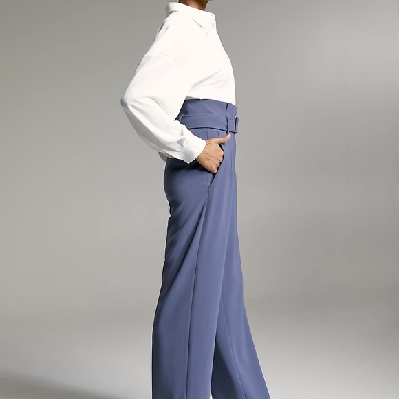 Babaton Aritzia Jermaine High-Waist Wide Leg Pant Kinetic - Picture 3 of 10